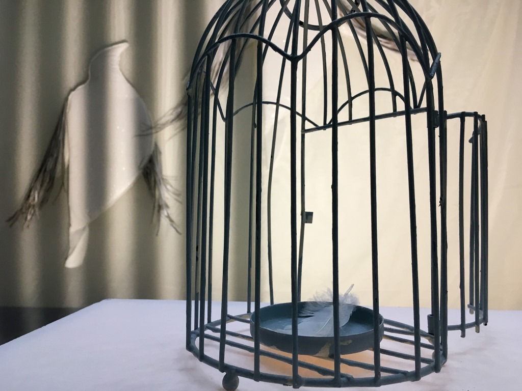 A close-up view of the little bird cage is shown. Its door is open and inside rests a single white feather.