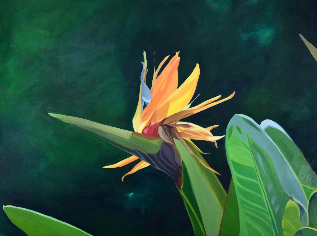 An orange bird of paradise painting by Elizabeth Barenis is shown with a deep green background.