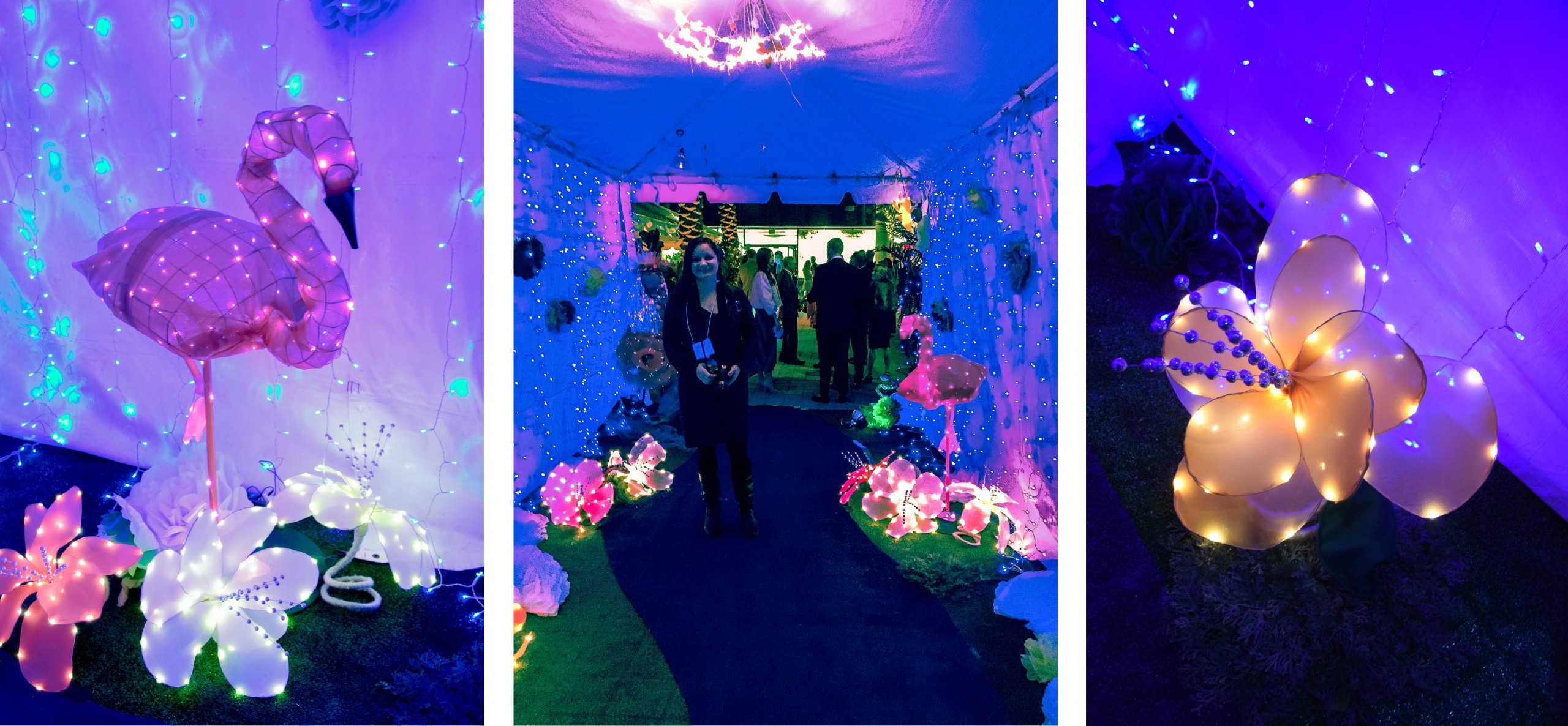 Three photos are shown of light-up flower sculptures, a light-up flamingo sculpture and the view of the tent in which these were all placed.