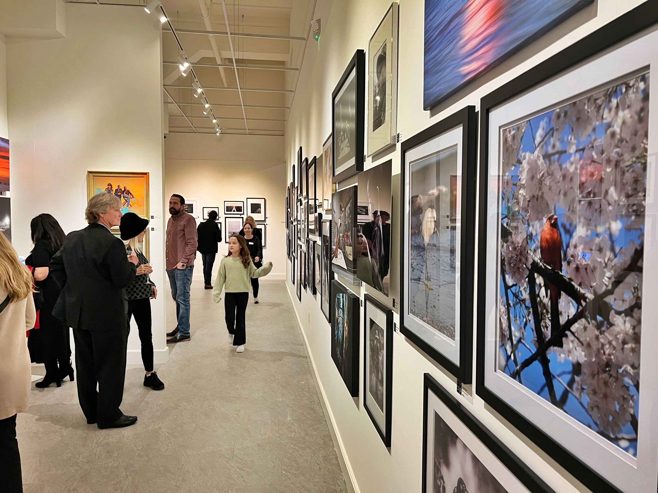 A New Home for LensBased Art Creative Pinellas