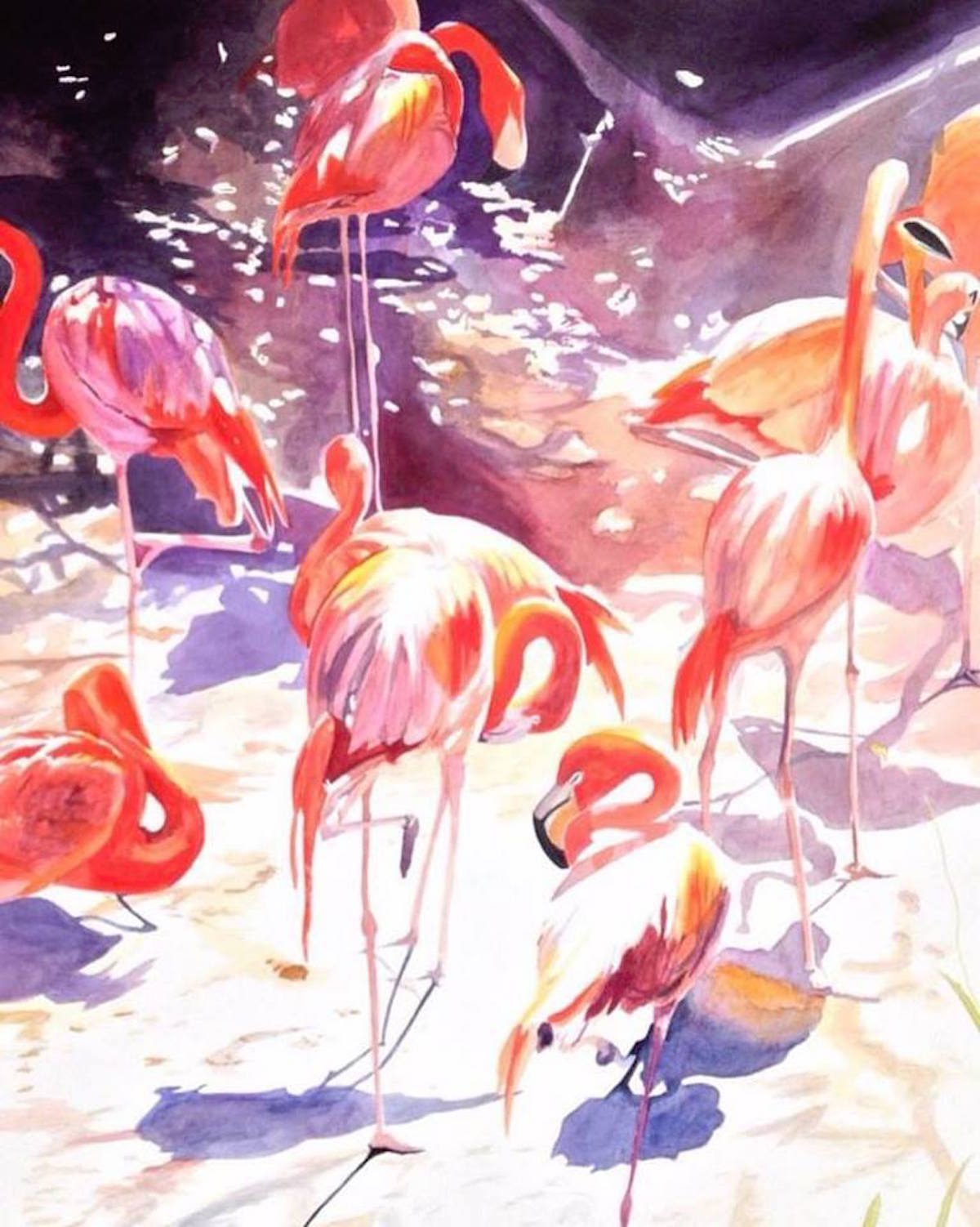 Watercolor Fabulous Flamingos