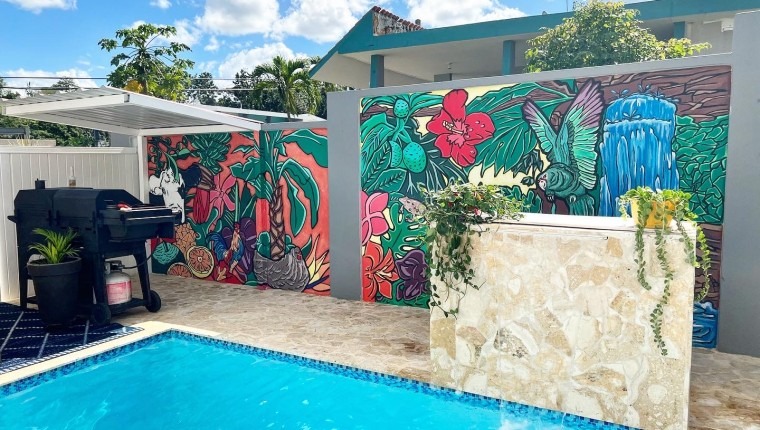two murals in Hatillo Puerto Rico