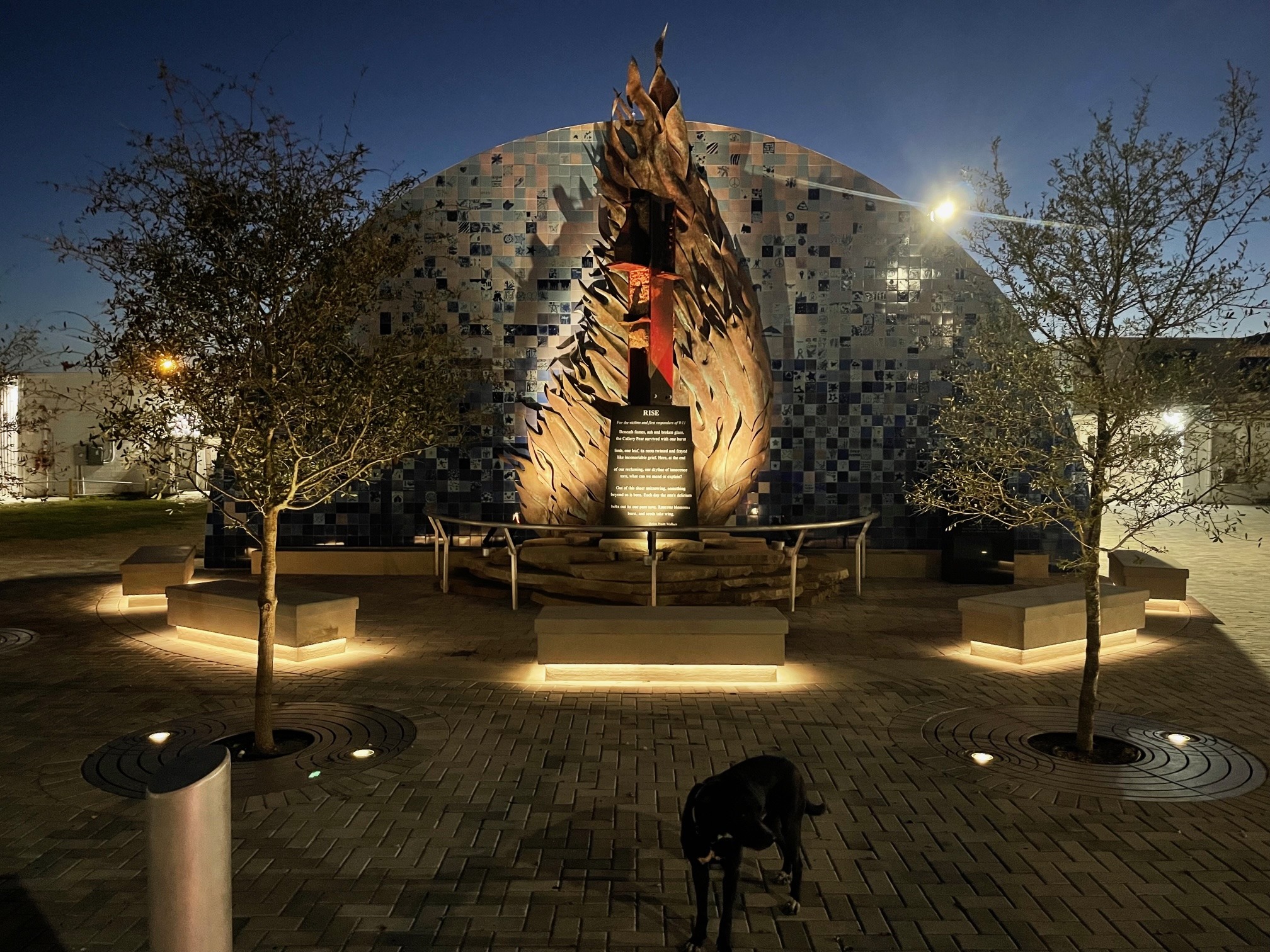 Creating Rise Creative Pinellas