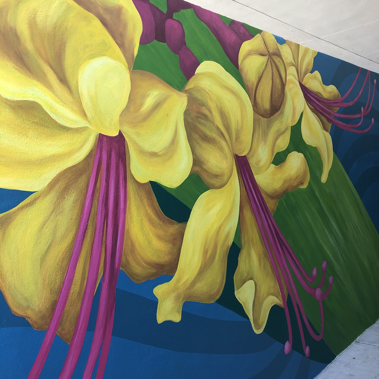 St. PeteClearwater International Airport (PIE) Project Creative Pinellas