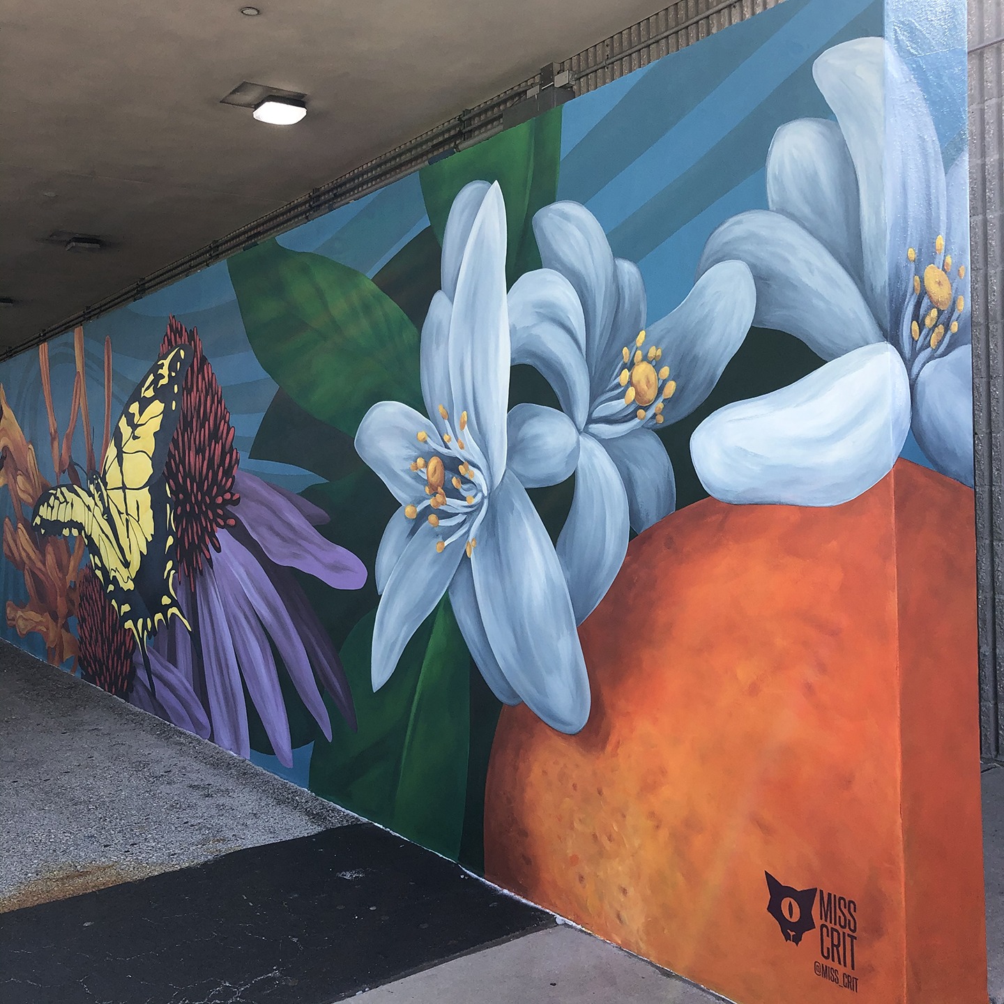 St. PeteClearwater International Airport (PIE) Project Creative Pinellas