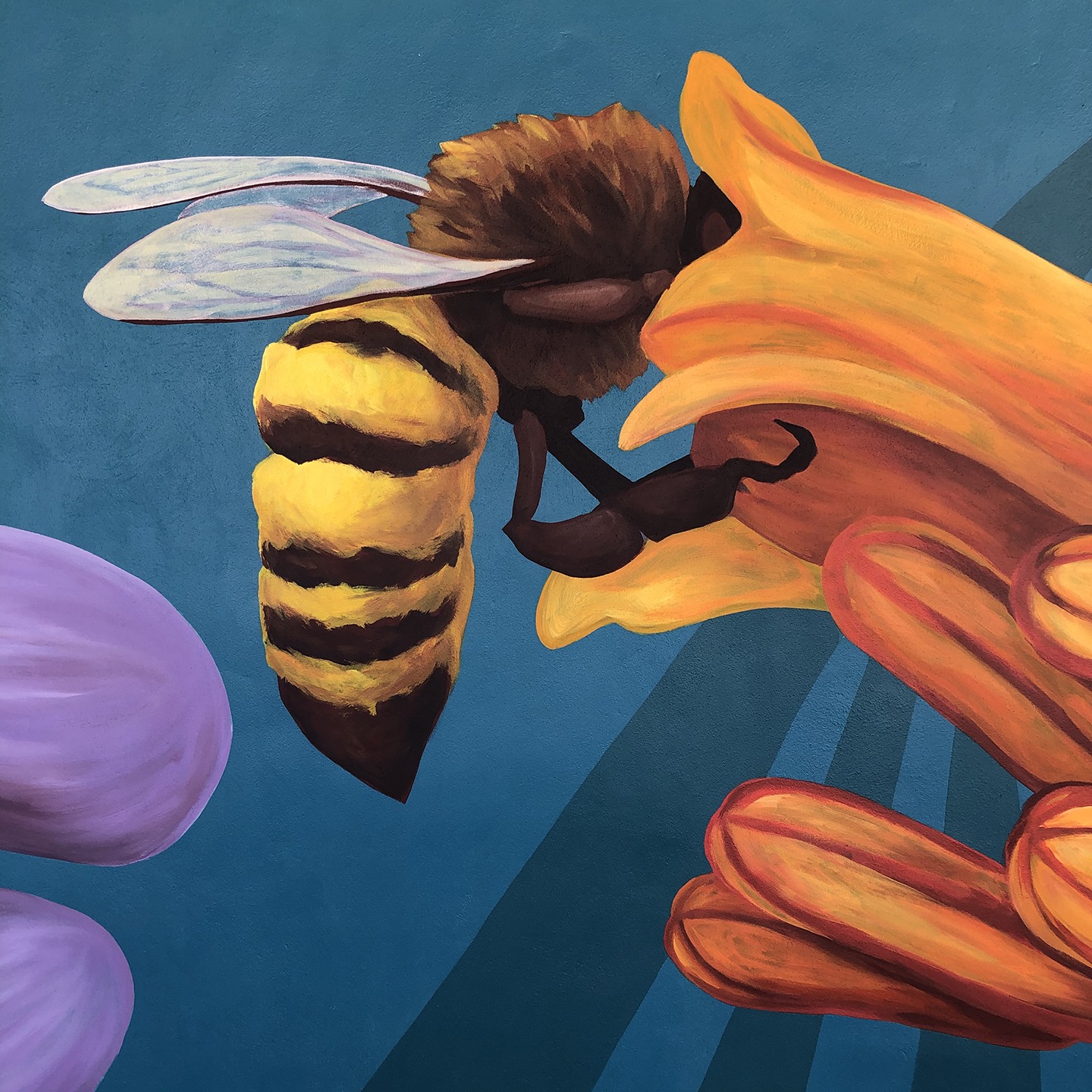 St. PeteClearwater International Airport (PIE) Project Creative Pinellas