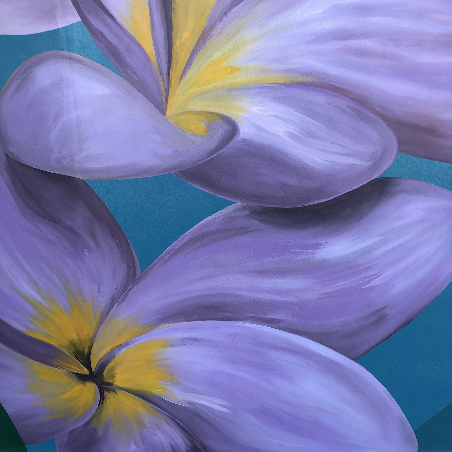 St. PeteClearwater International Airport (PIE) Project Creative Pinellas