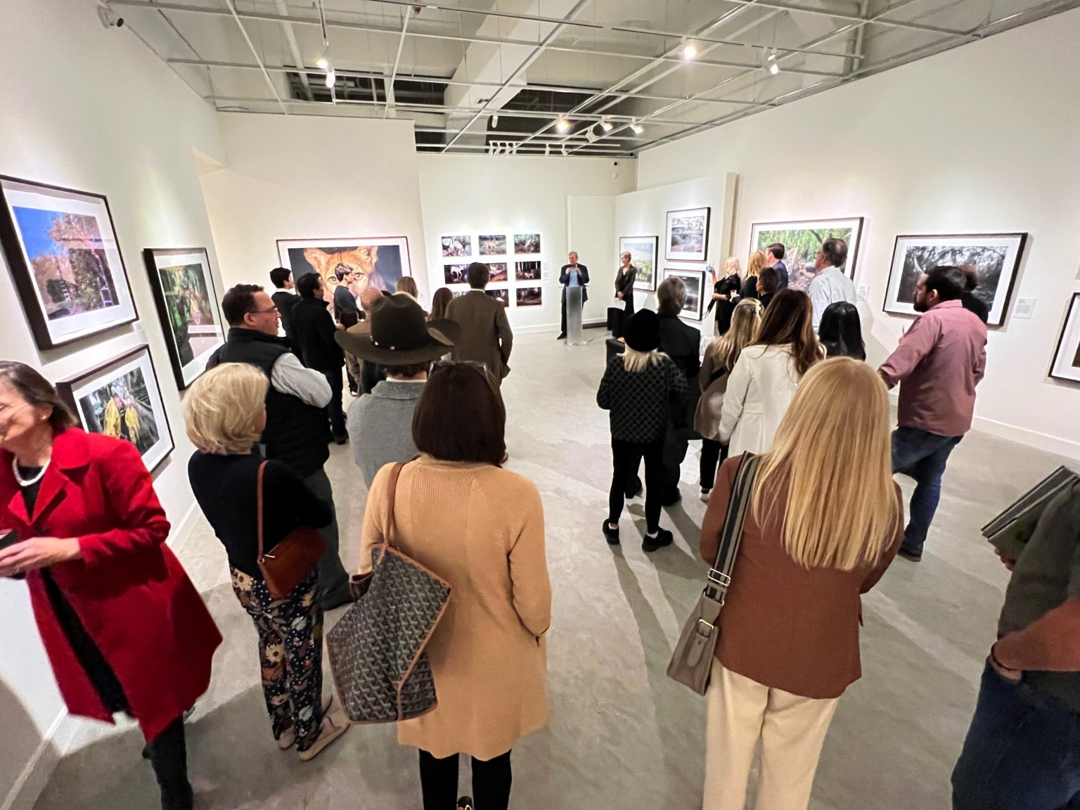 A New Home for LensBased Art Creative Pinellas