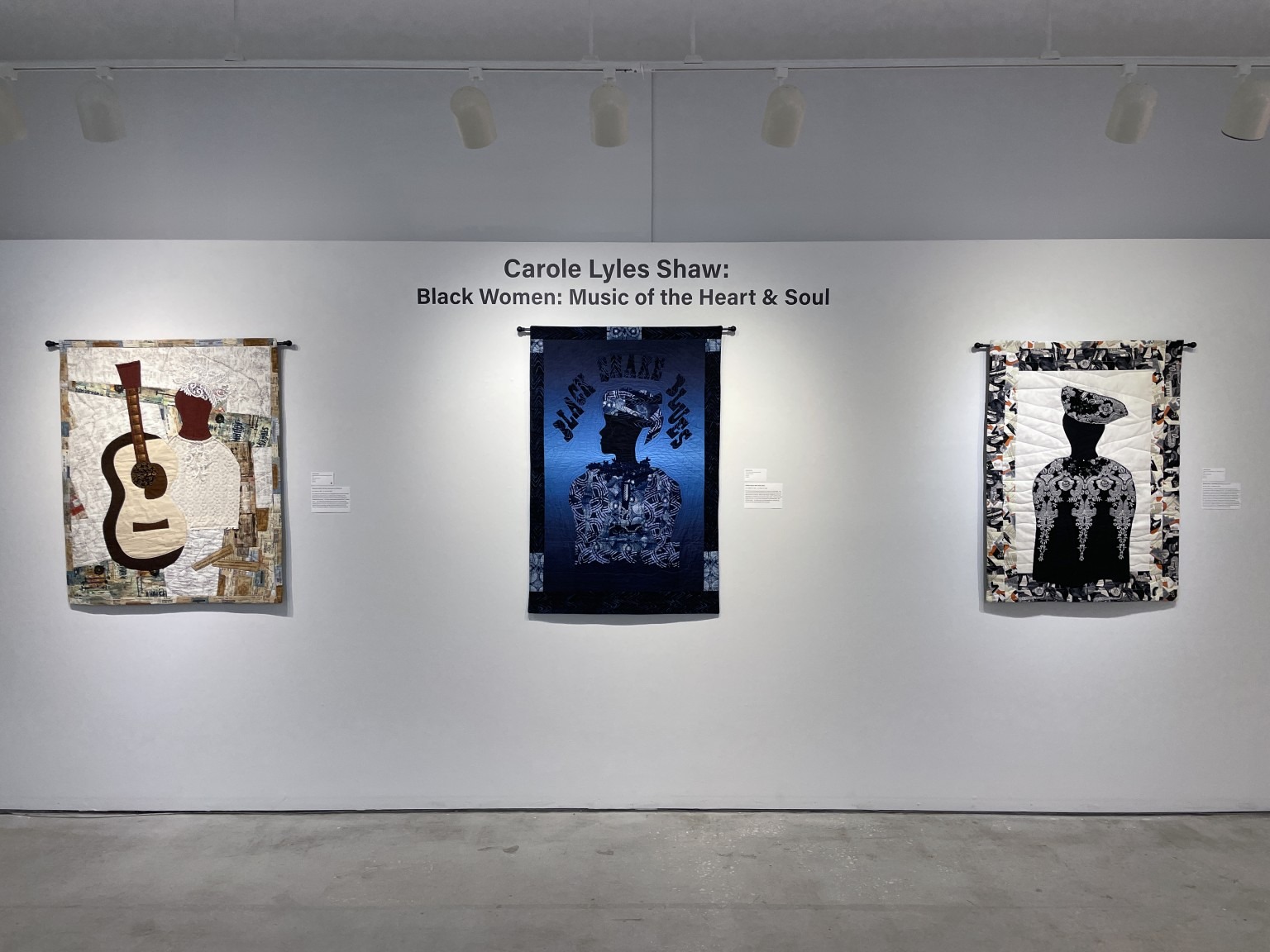 Carole Lyles Shaw Modern Quilter Creative Pinellas