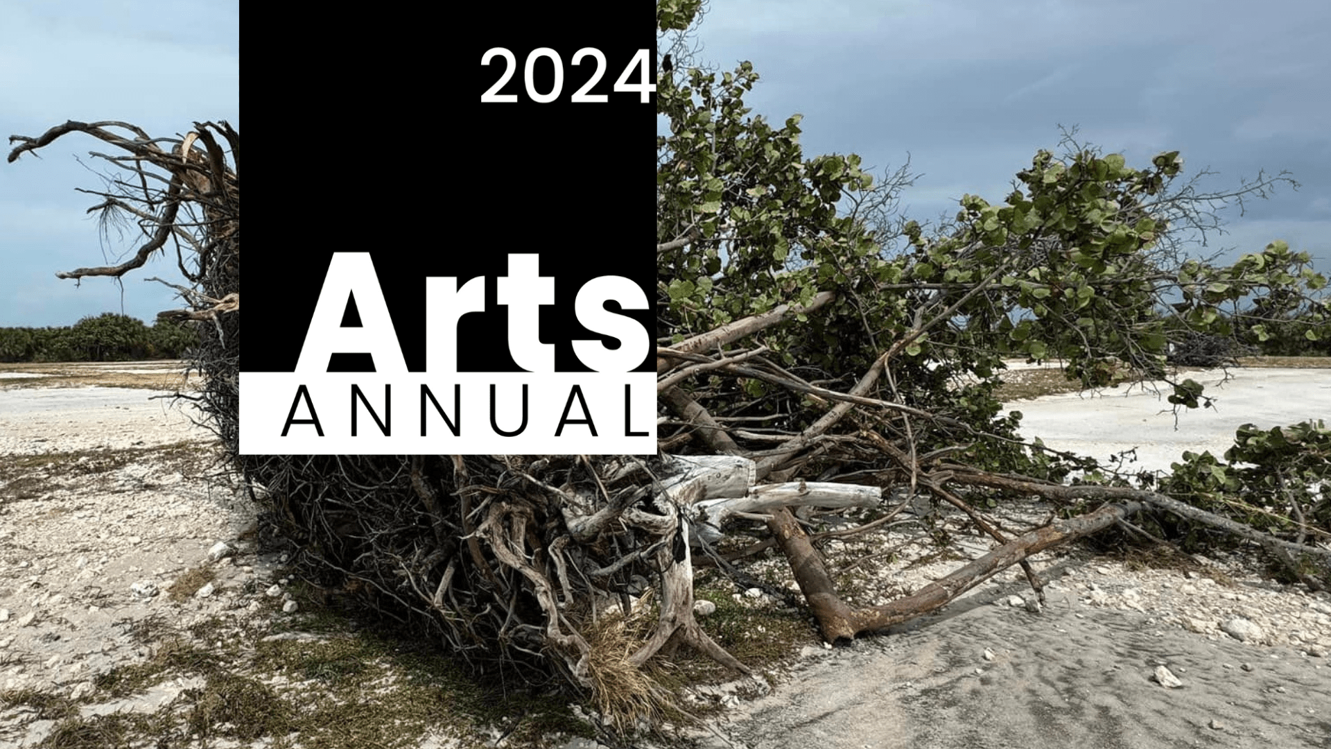 Arts Annual Creative Pinellas
