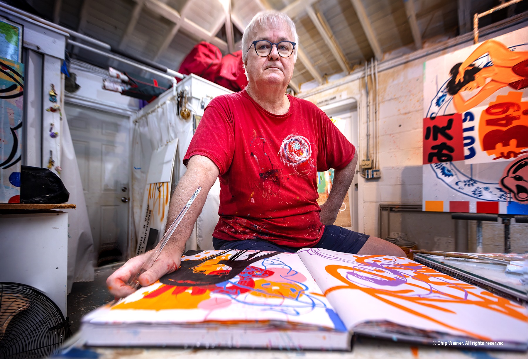 David Williams - Creative Pinellas