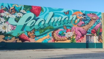 A mural reads Lealman with an alligator.